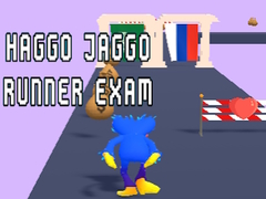 Hry Haggo Jaggo Runner exam