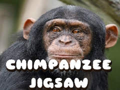 Hry Chimpanzee Jigsaw