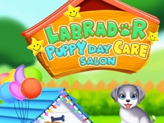 Hry Labrador Puppy Daycare Salon