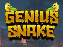 Hry Genius Snake