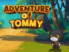 Hry Advanture Of Tommy