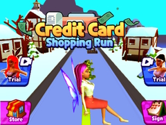 Hry Credit Card Shopping Run