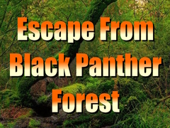 Hry Escape from Black Panther Forest