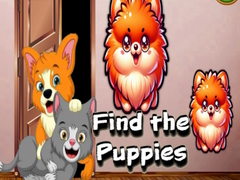 Hry Find the Puppies