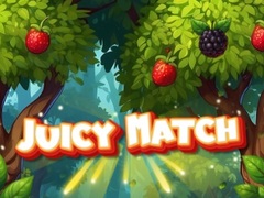 Hry Juicy Match