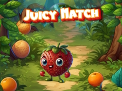 Hry Juicy Match