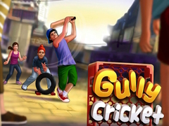 Hry Gully Cricket