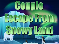 Hry Couple Escape from Snowy Land