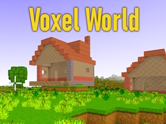 Hry Voxel World