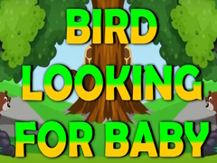 Hry Bird Looking For Baby