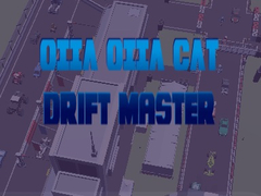 Hry Oiia Oiia Cat Drift Master