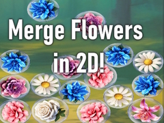 Hry Merge Flowers in 2D!