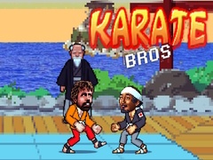 Hry Karate Bros