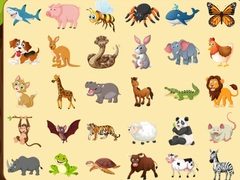 Hry Discover Animals