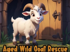 Hry Aged Wild Goat Rescue