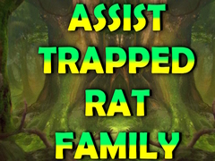 Hry Assist Trapped Rat Family