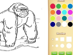 Hry Zoo Animals Coloring Book for Kids