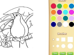 Hry Amazon Rainforest Coloring Book for Kids