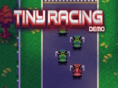 Hry Tiny Racing Demo.