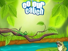 Hry Colour Catch