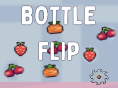 Hry Bottle Flip