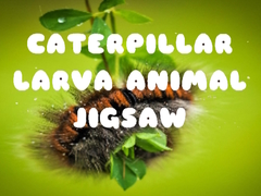 Hry Caterpillar Larva Animal Jigsaw
