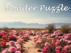 Hry Wonder Puzzle