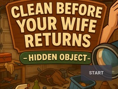 Hry Clean Before Your Wife Returns Hidden Object
