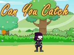 Hry Can You Catch