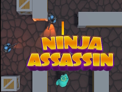 Hry Ninja Assassin