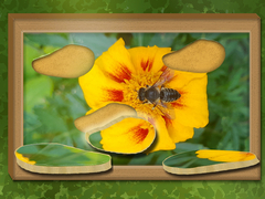 Hry Find & Restore: Hidden Puzzle