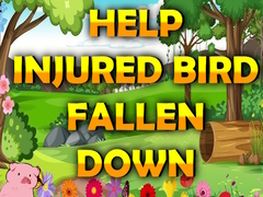 Hry Help Injured Bird Fallen Down