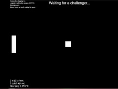 Hry Multiplayer Pong