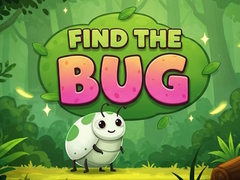 Hry Find the Bug