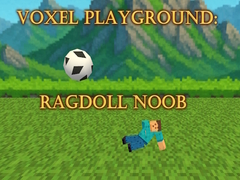Hry Voxel Playground: Ragdoll Noob