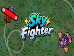 Hry Sky Fighter