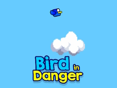 Hry Bird in Danger