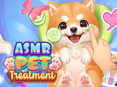Hry ASMR Pet Treatment