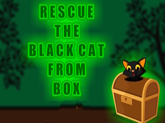 Hry Rescue the Black Cat from Box