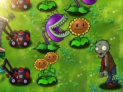 Hry Plants vs Zombies Limited Edition