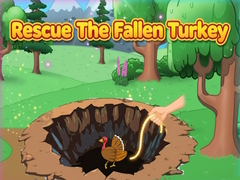 Hry Rescue The Fallen Turkey