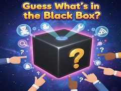 Hry Guess What's in the Black Box?