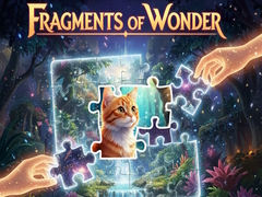 Hry Fragments of Wonder