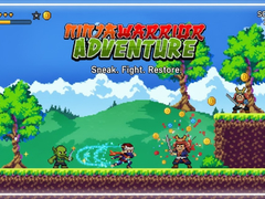 Hry Ninja Warrior Adventure