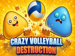Hry Crazy Volleyball Destruction