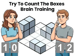 Hry Try To Count The Boxes Brain Training