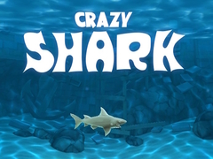 Hry Crazy Shark