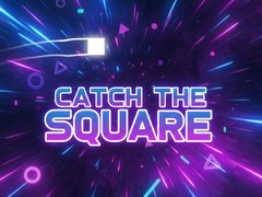 Hry Catch the Square