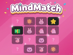 Hry MindMatch