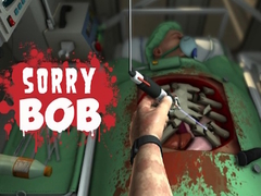Hry Sorry Bob